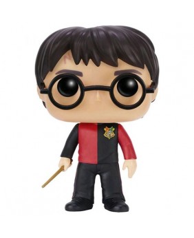 Harry Potter Triwizard...