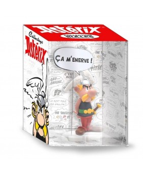 Asterix Collectoys Comics...